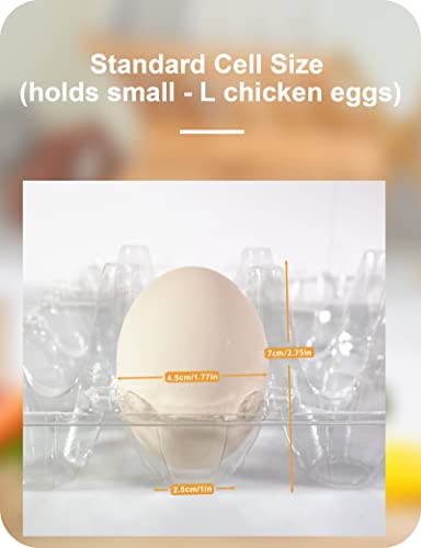 Pintuson 50 Pack Egg Cartons Cheap Bulk 12 Count - Holds 1 Dozen Clear Blank Egg Cartons for Chicken Eggs - Clear Empty Chicken Egg Carton for Fresh Medium Eggs - color: Medium-50PK-12CT