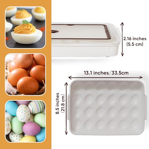 Deviled Egg Containers with Lid, (Set of 2), Plastic Deviled Egg Tray Carrier with Handle for 48 Eggs, Clear Storage Egg Platter for Devil Egg, Fridge Stackable Portable Egg Holder (Transparent) - color: Transparent