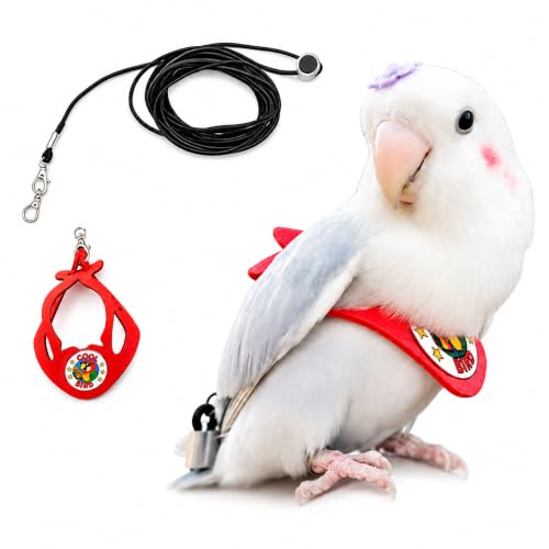 Adjustable Bird Harness & Leash Set for Small Birds,FitsBudgie,Parakeets, Conures, Cockatiels,Green Cheek,Quaker Parrots(Red, XS) 6350-1 - color: Red, size: XS,for Lovebirds and similar size