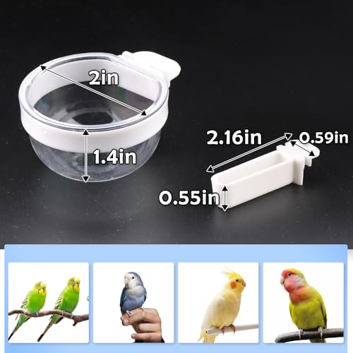 6 Pcs Small Bird Detachable Transparent Bowl Parrot Plastic Food Cup Canary Finch Convenient Hanging Seed Water Feeder (with 6 pcs Small Food Cups)
