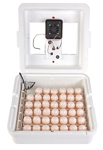 Little Giant Deluxe Incubator w/Egg Turner