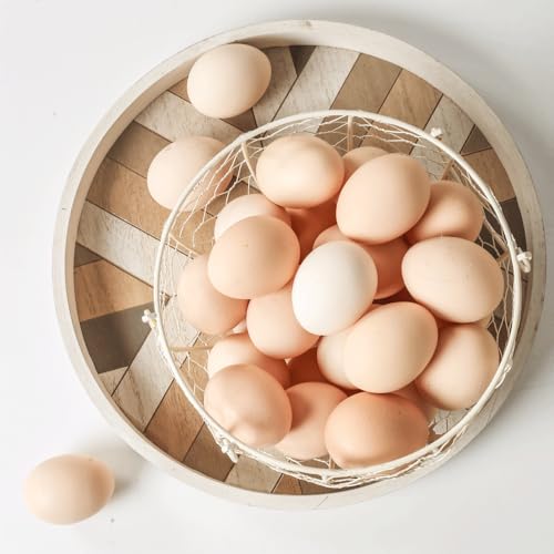 Farmhouse Fresh Eggs Collecting Basket With Handle，Vintage Style Metal Wire Eggs Holder Basket for Countertop Kitchen Storage Bin White - color: white