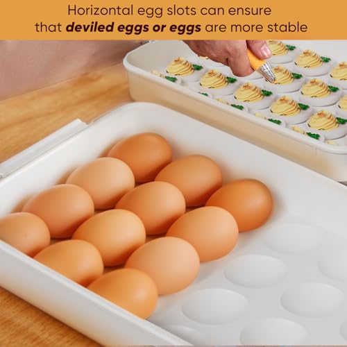 Deviled Egg Containers with Lid, (Set of 2), Plastic Deviled Egg Tray Carrier with Handle for 48 Eggs, Clear Storage Egg Platter for Devil Egg, Fridge Stackable Portable Egg Holder (Transparent) - color: Transparent