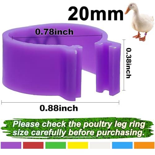 70 Pcs 20mm Duck Leg Rings Colorful 01-70 Numbered Duck Identification Leg Bands, Chicken Foot Tags Clip on Poultry Ankle Rings for Chicken Guinea Goose Gamefowl Turkey - size: 20mm - 7 Colors