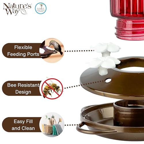 Nature's Way Hanging Glass Hummingbird Feeder for Outdoor Decor, 22 Ounce Capacity Nectar Feeder, 4 Easy to Clean Flexible Ports, Red