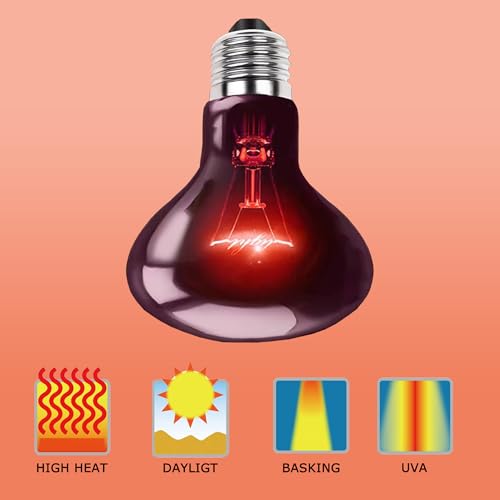 100W Reptile Infrared Red Heat Lamp, All-Day Basking Spot Bulb | Provides Consistent Day & Night Warmth for Leopard Geckos, Lizards, Chicks & Large Terrariums, E26 Base, 2-Pack - color: Infrared Heat Lamp, size: 100W Upgraded - 3.1"