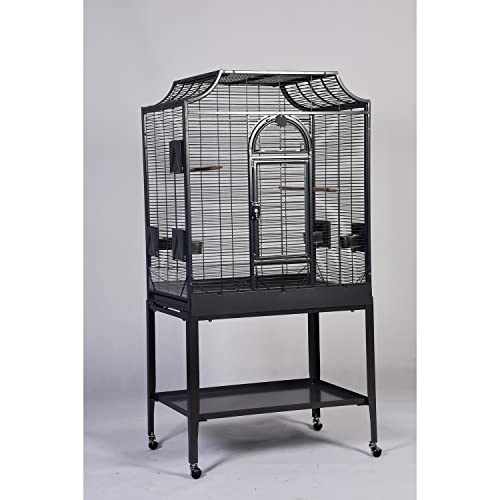 A&E Cage Co. Elegant Style Flight Cage, 32" x 21", Blue (MA3221FL Blue)