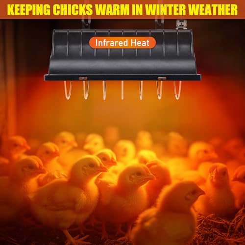 250W Chicken Brooder Heater for Chicks Ducks, Brooder Heater with 2PCS Heat Lamp, 6ft Cord Chicken Brooder Lamp with Adjustable Temp & Height, Chicken Coop Heater for Livestock Indoor Warmer