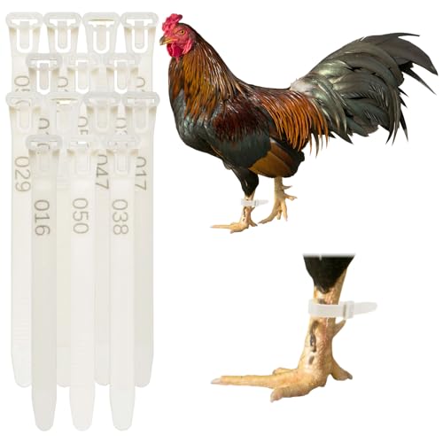 M METERXITY 100-Pack Adjustable Chicken Leg Bands, 10-28 mm Plastic Poultry Identification Chicken Leg Rings for Turkey/Duck/Goose/Chicks, Colorful Numbered Foot Clip on Tags [White] - color: White