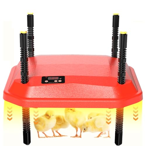 Chick Brooder Heating Plate, Brooder Heater for Chicks, Adjustable Temperature Height Adjustable Brooding Heater, Brooder Heat Plate Warmer for Baby Chick Duckling (Red) - color: Red