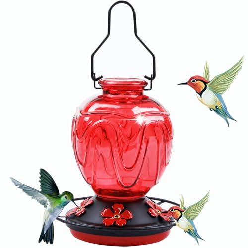 Glass Hummingbird Feeder for Outdoors Hanging, 24Ozs Humming Bird Nectar Feeder w/Perch, 5 Flower Feeding Ports, Leak Proof Base and Hook for Outside Garden Backyard Decor, Gifts for Women Mom, Red - color: Red