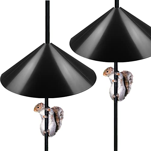 Queension 19-inch Wide Squirrel Proof Baffle,Squirrel Guard Stopper for Outside Shepherd Hooks or OutdoorBird Feeder Poles, Save Bird Houses from Squirrels, Rodents and Raccoons, Black, 2 Pack… - style: Pole Mount 2pcs