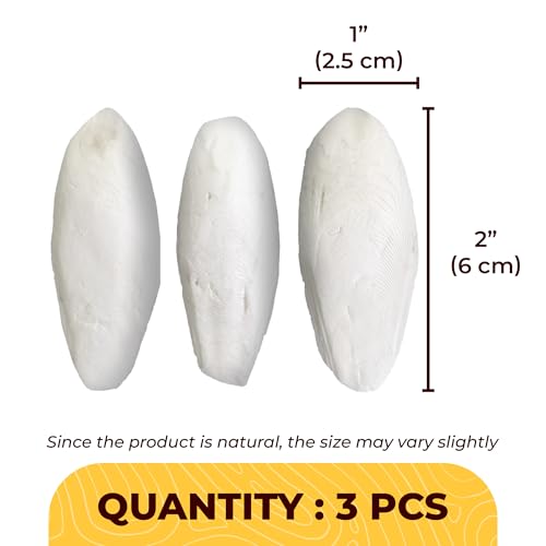 SunGrow 3 Pack Cockatiel Cuttlefish Bone, Calcium Addition to Bird Beak Care, Cage Mount Holder NOT Included, Support Shell Strength, Turtle, Shrimp, Dog, Snail, Aviary Clip, Accessory Reptile
