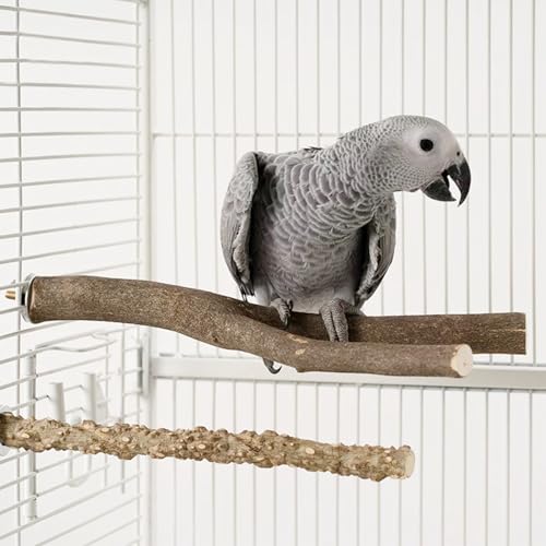 8 PCS Natural Wood Bird Perch Set, U Shape, Forking, No Branch, O Shaped Platform, Suitable for Cockatiel, Cockatoo, Budgie, Parakeet, Conure, Macaw, Love Bird