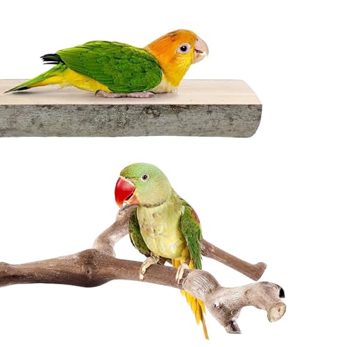 6 PCS Bird Perch Stand Natural Wood Standing & Hanging with Rope, Bird Cage Accessories for Small Parrots