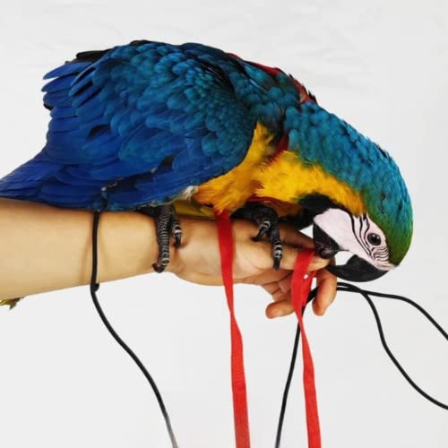 Adjustable Bird Harness with 78.7 Inch Leash, Outdoor Flying Training Rope Kit for Bird Parrots, Parrot Flying Rope Straps Outdoor Training Traction Rope for Small Medium Large Size Birds (S) - size: S