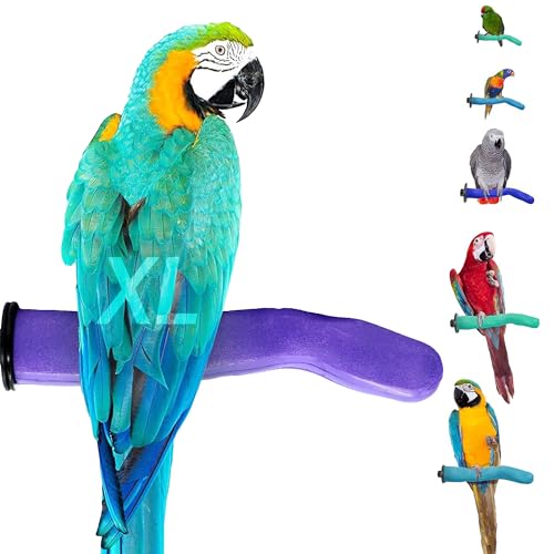 Sweet Feet and Beak Safety Pumice Perch - Trims Nails and Beak - Promotes Healthy Feet - Safe Non-Toxic Bird Supplies for Bird Cages - X-Large 14" - Purple - color: Purple, size: X-Large 14"