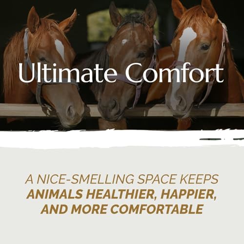 French Hemp Bedding 44lb — Chicken Coop & Horse Stall Bedding | Ultra Low Dust Odor Control Deep Litter Ready | Premium Hemp Shavings for Chickens Horses Rabbits & Small Animals (Pack of 2) - size: Pack of 2