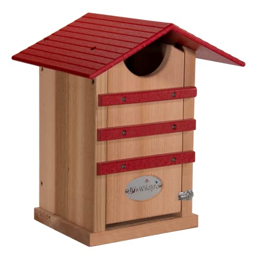 Screech Owl House Cedar Nesting Box with Poly Lumber Roof, Saw-Whet Owl Box for Outside, Drainage Ventilation, Easy Cleanout, Made in USA, Cardinal Red - color: Cardinal Red