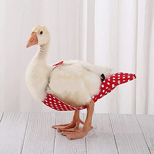 Chicken Duck Goose Diaper Washable Pet Bow Tie Diapers for Hens Roosters Poultry 1 Pack (L, Blue) - color: Blue, size: L