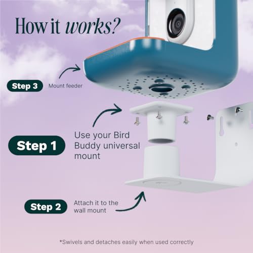 Birdbuddy Wall Mount for Bird Feeders, Walls & Fences, Weatherproof