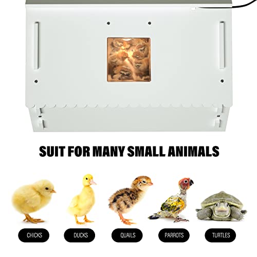 Upgraded Chick Brooder with Viewing Window,Baby Chicken Cage Heat Lamp Brooder for 10-20 Chicks,Ducks,Quail&Birds–Energy-Efficient 35W Heater,Easy-to-Clean Design
