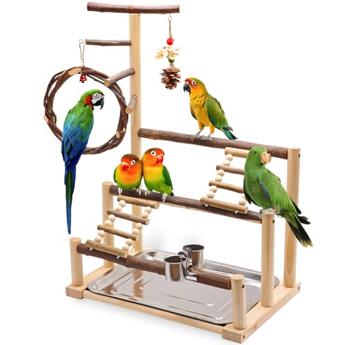 Bird Playground, Natural Wooden Parrot Stand Suitable for Small and Medium Birds, with Feeding Cups, Swing, Chew Toys,Bird Perch Ideal for Parakeets, Budgerigars,Canaries,Conures