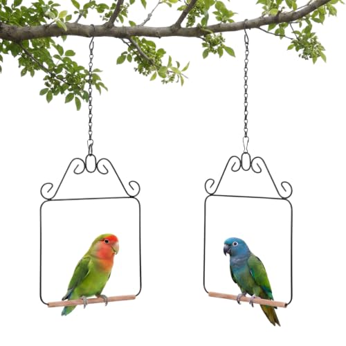 2 Pack Hummingbird Swings, Black Metal Frame Hummingbird Swings with Wooden Dowel Wild Bird Swing Outdoor Bird Perch with 2Pcs Hanging Chain for Hanging Indoor Outdoor Trunk Lawn Patio Garde