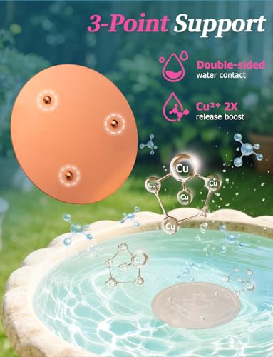Mellbree 2-Pack Bird Bath Purification Disk, 99.99% Pure Copper Disc Cleaner Safe for Outdoor Bird Bath, Solar Fountains and Concrete Bowls - Bird-Safe Gift for Bird Lovers 0.6mm (Bird Pattern) - color: Copper-Bird