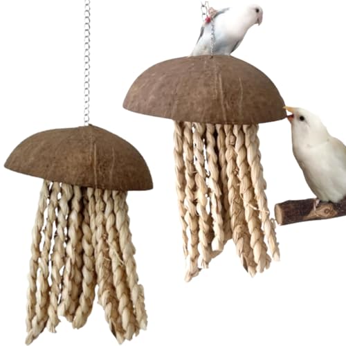 Bird Chew Toys, Coconut Shell with Corn Husks for Parrot Beak Grinding, Coconut Shell Shredding Toy for Parakeet Lovebird Conure Budgies Cockatiel (2-Pack) - color: 2-Pack