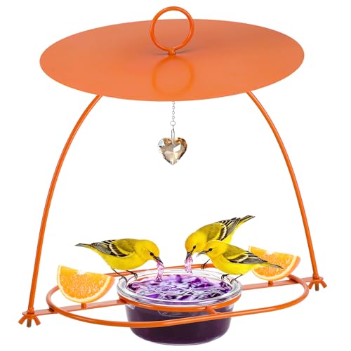 Apipi Large Oriole Feeders for Outdoors with Rain Guard, 14.2 oz Jelly Bowl | 13.4 "x 13.4" Durable Metal Hanging Baltimore Oriole Bird Feeder, Bird Lover Gifts for Backyard Garden Patio Decor
