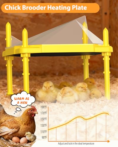 Chick Brooder Heating Plate, 14"x11"Adjustable Temperature & Height Heating Plate for Chicken with Anti-Roost Cone, Easy-Clean Poultry Coop Heater for Up to 18-22 Chicks (Yellow)