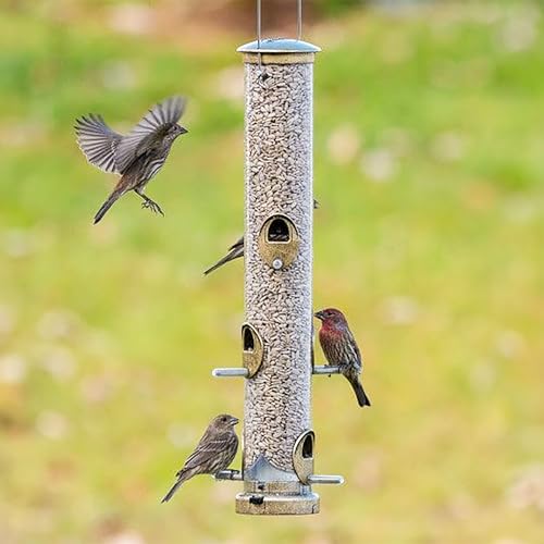 Aspects Small Seed Tube Feeder in Blue Size: Large, Finish: Antique Brass - color: Antique Brass, size: Large