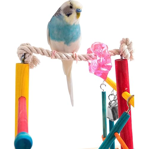 Penn-Plax Bird Life Wooden Playpen – Perfect for Parakeets, Lovebirds, Parrotlets, Cockatiels, and Green Cheek Conures – Medium - color: Multicolor, size: Medium