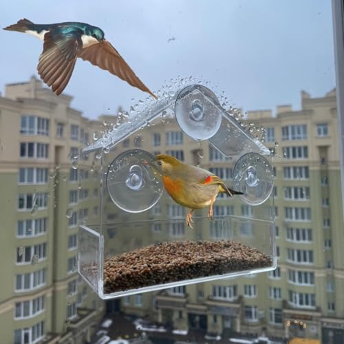 Clear Window Bird Feeders with Strong Suction Cups and Drain Holes Sturdy and Durable 360° View Acrylic Birdfeeders for Viewing Wild Birds Outside, Outdoor Small Bird House, Garden Decor