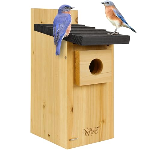Wild Wings WWCH3 Cedar Blue Bird Box House - size: Bluebird Box House
