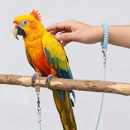 Bird Leash with 4 Different Size Foot Ring, Parrot Flying Rope Elastic Bird Harness Flying Leash Outdoor Training Traction Rope for Conure Cockatiel Parakeet Macaw Budgerigar