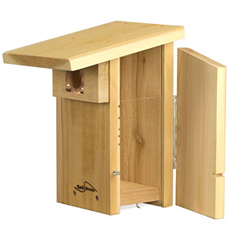 Cedar Super Bluebird House with Steel Pole Package (1)