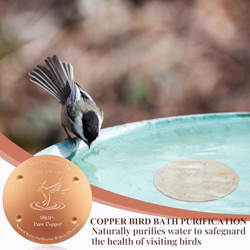 8 Pcs 4'' Copper Disc for Bird Bath,0.6mm | 0.8mm Thick, 99.99% Pure Metal for Birdbaths Purification, 4 Point Support Outdoor Bowls, Prevents Algae Buildup - style: Bird Pattern