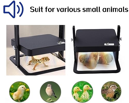 Brooder Heater for Chicks with Easy- Cleaning Chick Brooder Heating Plate, Poultry Coop Heater Chicks with Adjustable Height Brooding Heater 45°C-70°C (Black)