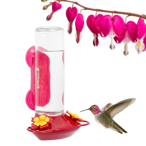 Perky-Pet Window-Mounted Glass Hummingbird Feeder - 14 fl oz Nectar Capacity - Entertaining Bird Watching - Glass Window Bird Feeder - 455-2 - Family Birdwatching - size: (Pack of 1)