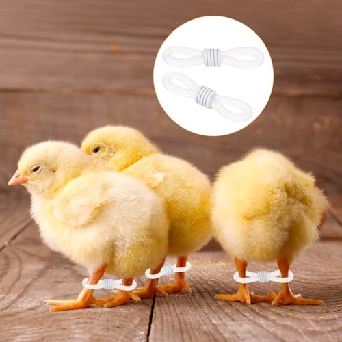 M METERXITY 100-Pack Adjustable Chick Leg Bands, 0.79" x 0.2" Silicone Chicken Leg Brace for Chicks/Ducks/Birds [White] Poultry Leg Bands - color: White