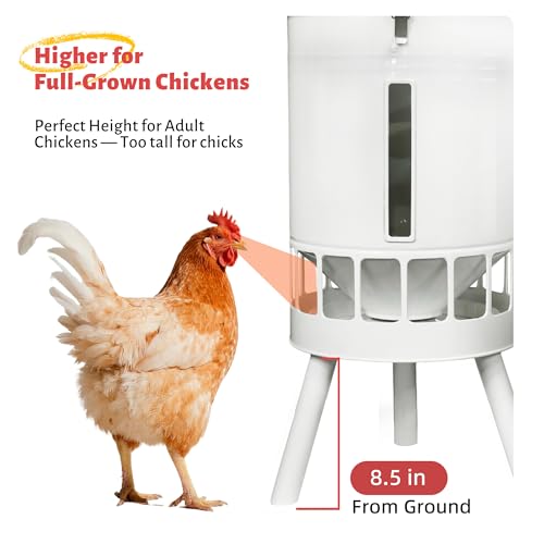 KOL 50LB Metal Chicken Feeder - No Waste, No Clog Design with 16 Ports & Smooth Gravity-Flow, Powder Coated Rust-Proof for Coop Use (Jade White) - color: Jade White