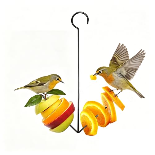 Oriole Bird Feeder Hanging Orange Fruit Bird Feeder with Hook, Black Metal Fruit Holder for Outdoors Garden Patio