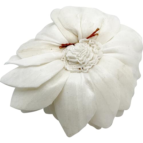 5176 Pk4 Sola Shred Lotus - Handmade Sola Wood Bird Foot Toys, Shreddable Lightweight Flowers, Easy for Small Pets to Manipulate, Stick Treats Inside, Great Foraging Toys - color: Medium Sola Lotus