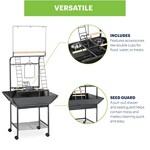 Prevue Pet Products Small Parrot Playstand with Wheels, Bird Stand Activity Play Center with Perches and Ladders, Indoor Outdoor Playground for Birds with Swing, Black Hammertone Finish - size: Small