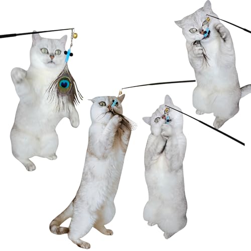 miwoowim 10PCS Retractable Cat Wand Toy with Natural Feather Insect Refills | Sturdy wooden handle with 4-section telescopic rod (8.3"-26.4"). Interactive Kitty Toys on a Stick.Promotes healthy exercise - color: 10 PCS Retractable Wand Feather Insects