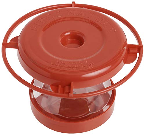 First Nature 993091-546 16 oz. Hummingbird Flower Feeder , Red | Bright Flower Ports Attract Birds - Round Bottom Perch Fits Multiple Birds - See-Through Tank Shows Nectar Levels - size: 16 ounce