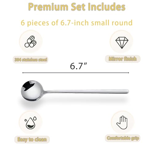 Long-handled Mirror-Finish Small Round Stainless Steel Spoon, Suitable for Scooping Bird's Nest, Honey, Coffee, Milk Powder, Sugar, Cocoa Powder and Other Foods & Desserts (6pcs 6.7", Silver) - size: 6.7in, style: 6Pcs Silver
