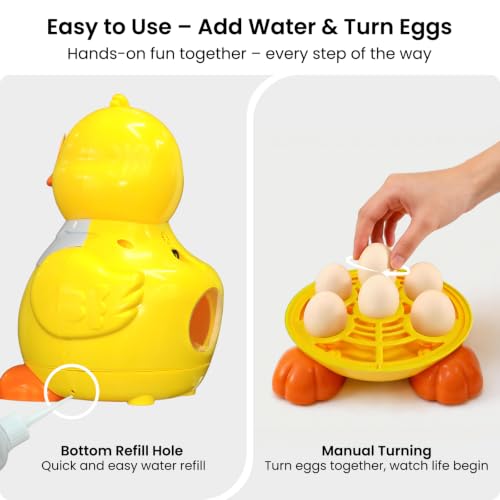 Egg incubators for hatching eggs, Small Incubator with Adjustable Temperature, Airflow & Clear Window, 6 Eggs Hatcher for Chicken Duck Quail Pigeon, Perfect for Home Classroom Kids